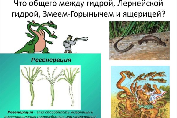 Кракен как попасть
