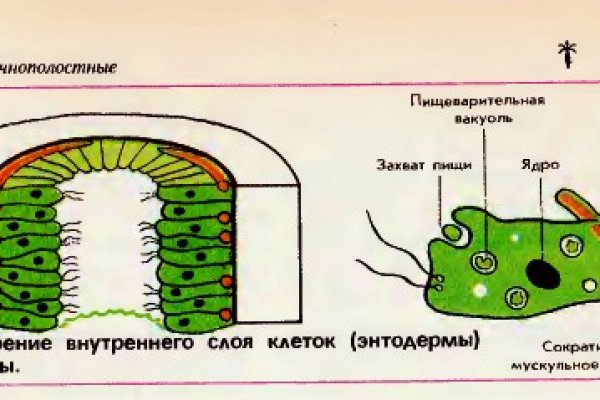 Настоящий сайт kraken