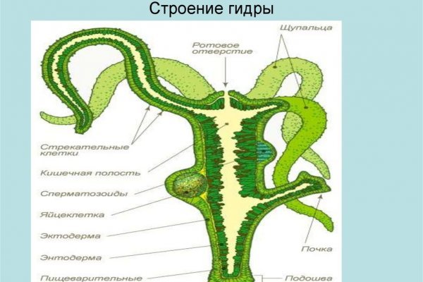 Кракен площадка ссылка